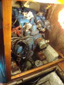 only numbers on this engine are these exact numbers....nothing indented at all.