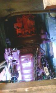 10563366_823127837699409_715256788_n