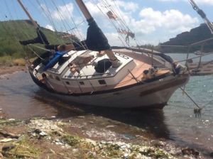 10393656_765962973468546_8164477240753480507_n