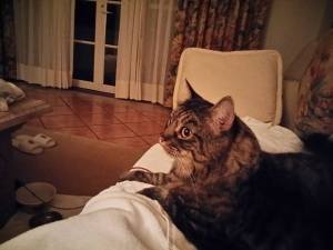 12032243_1061456970533160_8053313653082067958_n