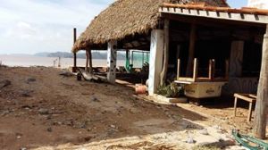 12042813_1061808253831365_4923128736842693750_n