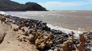 1948142_1062286297116894_6440682309918192758_n