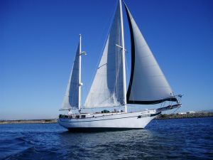 11800181_982504901781456_972189824219480821_n